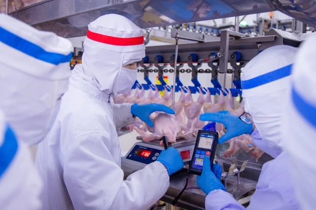 Nhà máy đóng gói thịt gà tại Đức