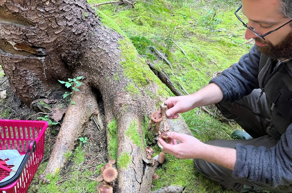 Khu nhà ở dành cho người lao động